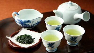 600年続く福岡県の八女茶栽培、「八女伝統本玉露」は手間がかかりすぎて生産農家が減少。最も美味しく味わうには「冷ます」のが大事？プロが教える楽しみ方