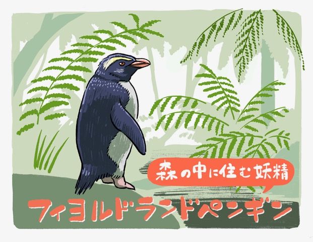 餌資源が豊富な海域で暮らすフィヨルドランドペンギンが、なぜ毎年1万