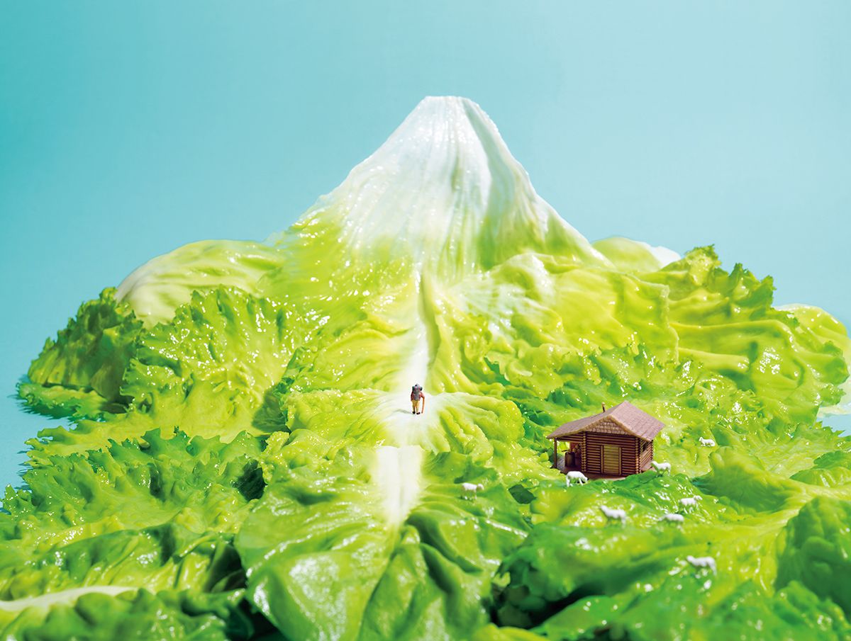 小面(田中 資幸 作) 田中達也「8月11日、山の日にぴったりな作品！レタスで山頂に積もった