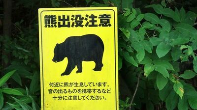 この40年で拡大してきたクマの分布域。伊豆半島、茨城県、津軽、能登…ツキノワグマの専門家「こうした現象は、九州・四国を除く全国で起きていると言っていい」