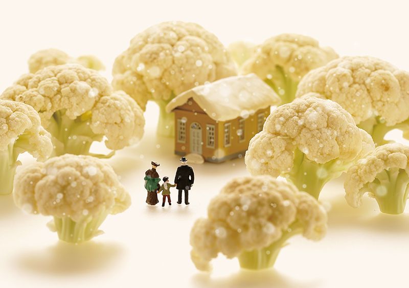 インスタフォロワー340万人！「ひよっこ」タイトルバック制作の