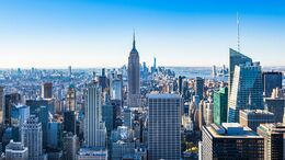 夫のアメリカ赴任で憧れの海外暮らしに。風景にうっとりしていたのは最初だけ。半年たった今は毎日家の中――