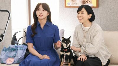 次回『初恋DOGs』あらすじ。ソハの「好き」に対して、愛子は友達としての好意を伝えるが…さらに離婚相談のために訪れた母が、しばらく居候することに＜ネタバレあり＞