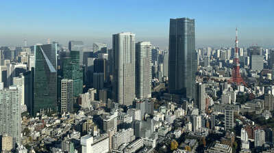 東京はすでにクマに囲まれている?ツキノワグマの専門家「首都圏の人口密集地ではすでにシカやイノシシが出てきている。都市部だからといって何の対策もしなければ…」