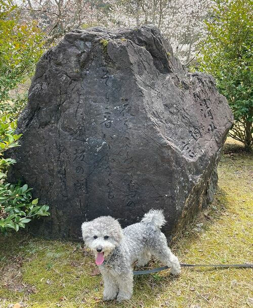 清少納言の歌碑