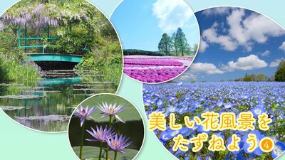 春は「花旅」のベストシーズン。花旅コーディネーターが選ぶ、この春おすすめ美しい風景を満喫できる花の鑑賞スポット８選！＜広島・高知＞