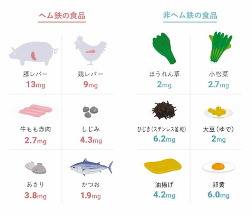 ヘム鉄が多く含まれている食品/⾮ヘム鉄が多く含まれている食品