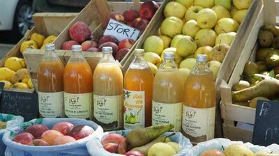 フランス在住日本人ママが驚いた＜フランス人の料理に対する考え方＞とは？「今日は無理しない日！と決めたら、堂々と冷凍食品やテイクアウト、デリバリーに頼り…」