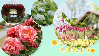 春は「花旅」のベストシーズン。花旅コーディネーターが選ぶ、この春おすすめ美しい風景を満喫できる花の鑑賞スポット８選！＜神奈川・山梨＞