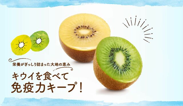 1日2個のキウイを食べて免疫力キープを目指そう 健康リポート 1日2個のキウイを食べて免疫力キープを目指そう 健康リポート