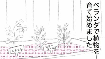 矢部太郎 継続って難しい。自炊をしようと思いつつ、気がつけばコンビニやデリバリーに。ある日ベランダで植物を育て始めると…