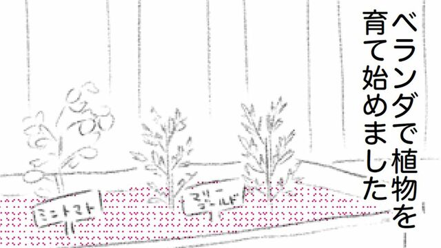 漫画「ご自愛さん」矢部太郎