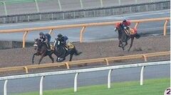 『ザ・ロイヤルファミリー』で話題のあの聖地も「いばらき」！＜まもなく午年＞都内から日帰りで楽しめる茨城県の馬スポット＆縁起グルメ特集