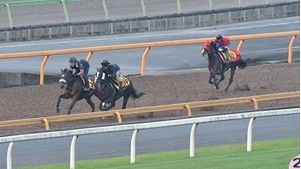 『ザ・ロイヤルファミリー』で話題のあの聖地も「いばらき」！＜まもなく午年＞都内から日帰りで楽しめる茨城県の馬スポット＆縁起グルメ特集