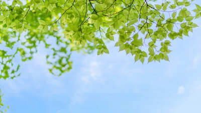 山田ルイ53世「小学生の長女が書いた＜将来に向けてのフローチャート＞を前にゾッ。夢を持っていない人が＜劣っている＞とみなされるような社会は息苦しい」