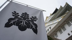 本郷和人『豊臣兄弟！』兄の天下統一を支えた弟・秀長。しかし武家社会では〈弟＝危険な存在〉として兄に殺されたケースも数多く…