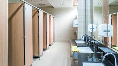 北半球と南半球ではトイレの渦が〈逆〉になる？真相を確かめるべくニュージーランドに飛んだ私は、早速トイレに駆け込み…