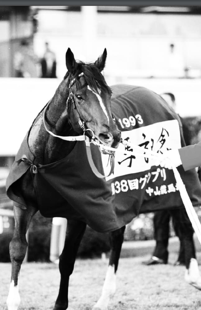4ページ目）3度の骨折を乗り越えたトウカイテイオーはいかにして「日本