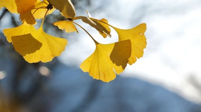 88歳・田村セツコ　年をとると「若く見せなきゃいけない」という声が聞こえてくる。それらは決して悪いものではないけれど…